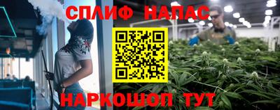эйфоретик Будённовск