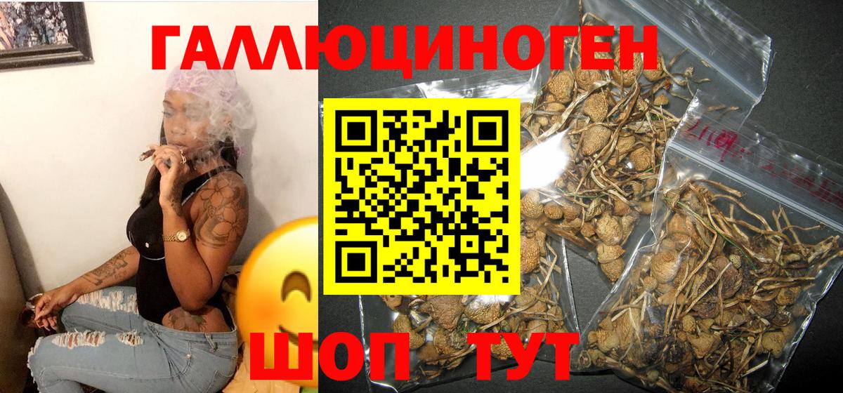 Псилоцибиновые грибы GOLDEN TEACHER  Вход с VPN  Озёрск 